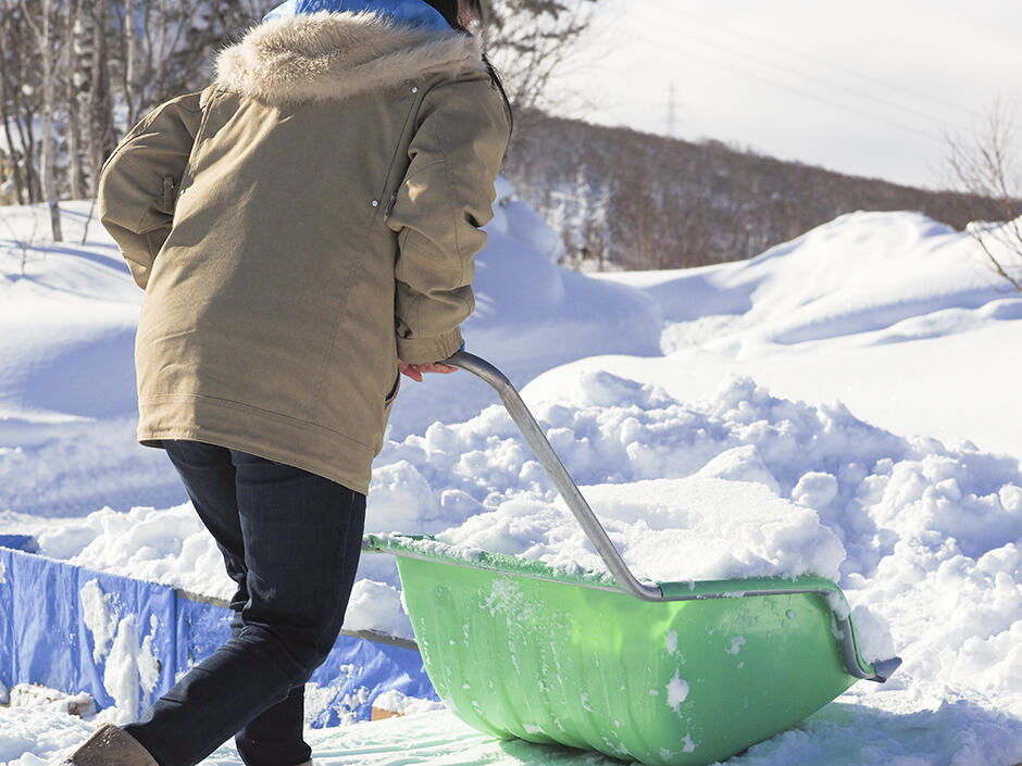 snowfestival3.jpg